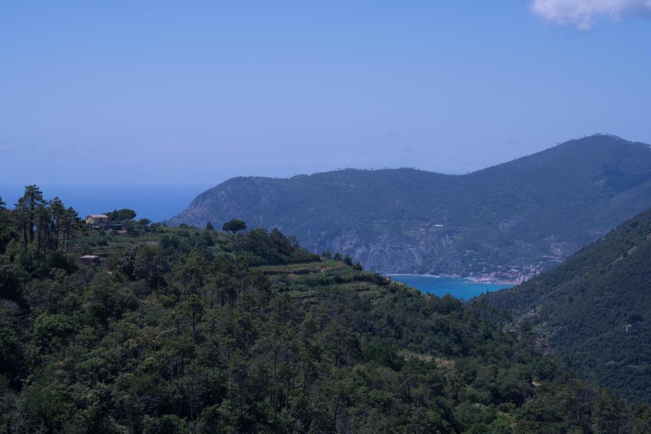 Cà du Venuto Villa Vernazza Ngoại thất bức ảnh